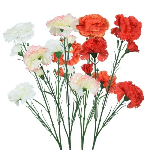Karafiát – konár x5 65 cm white K193